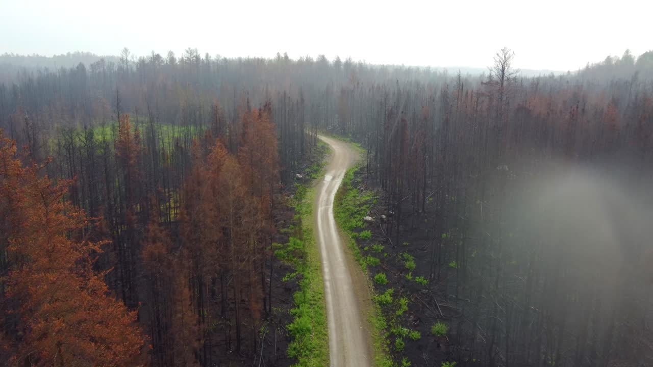 Snoet grusvej i skoven under regnvejr, dronebillede.