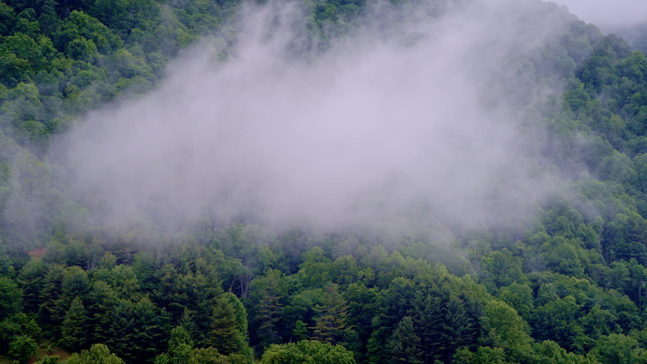 Drone shot cruising above a serene Smoky Mountain valley cloaked in mist