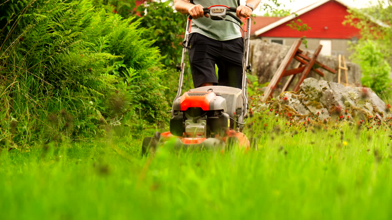 Man cuts tall green grass in rural Stavanger field under soft light, scenic summer day, low angle medium static
