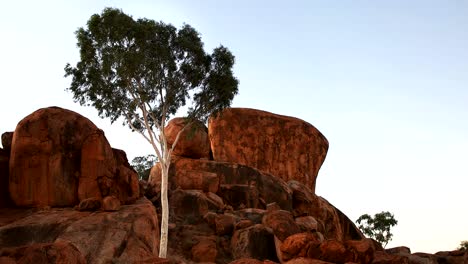 devils marbles/ karlu karlu and ghost gum