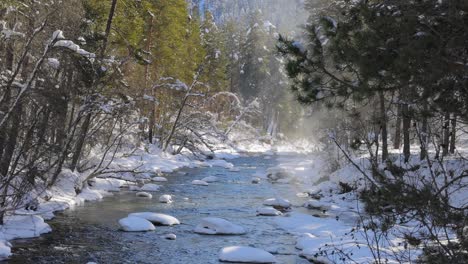 Schöner-Schneeszenenwald-Im-Winter.