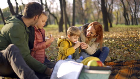a family enjoying a picnic in the park during autumn