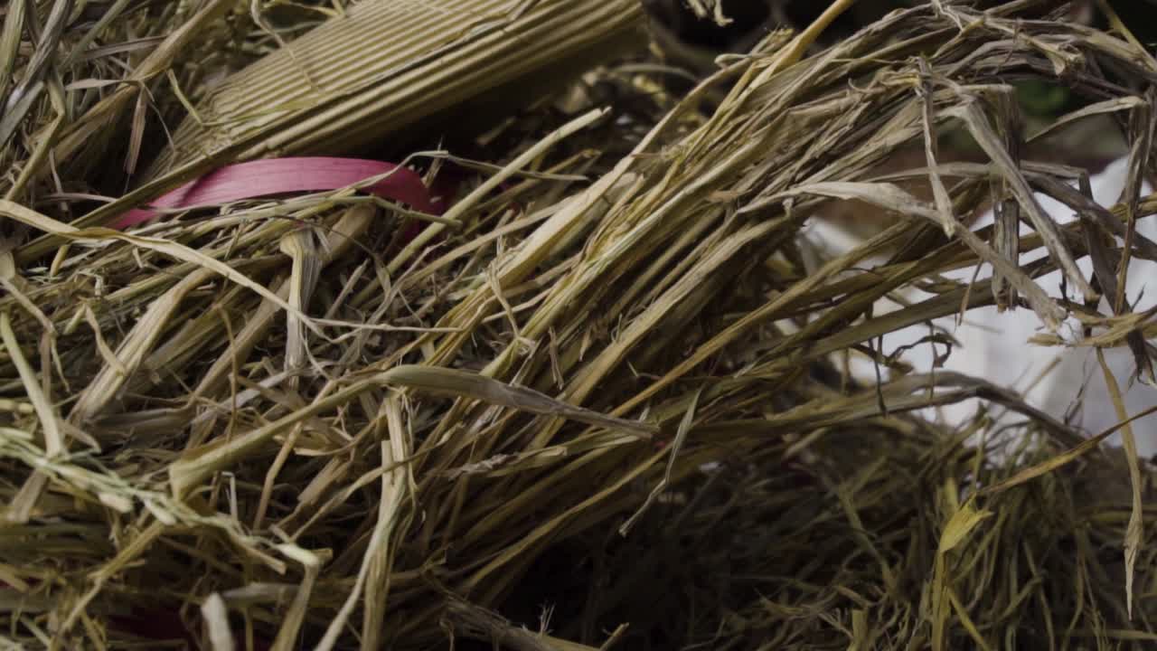 슬로우 모션은 황금빛 노란색 건초 더미를 닫습니다