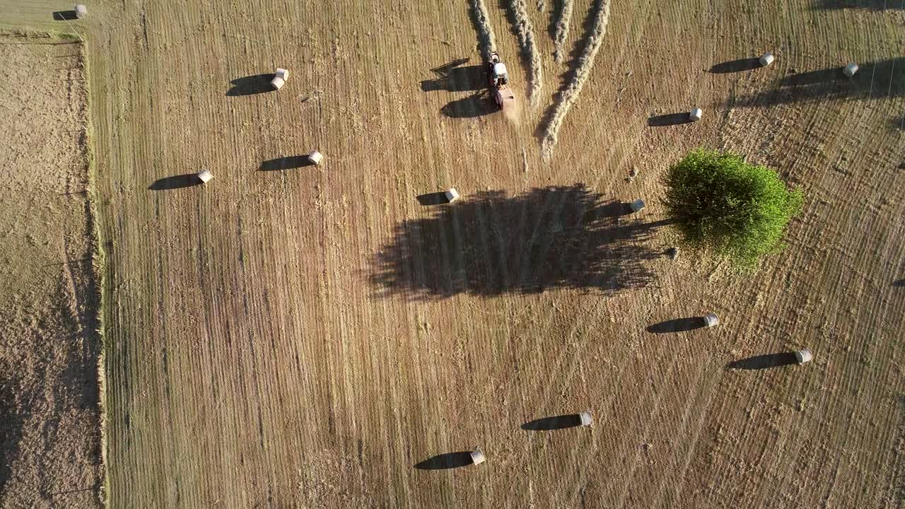 Aerial view of tractor harvesting straw bales.