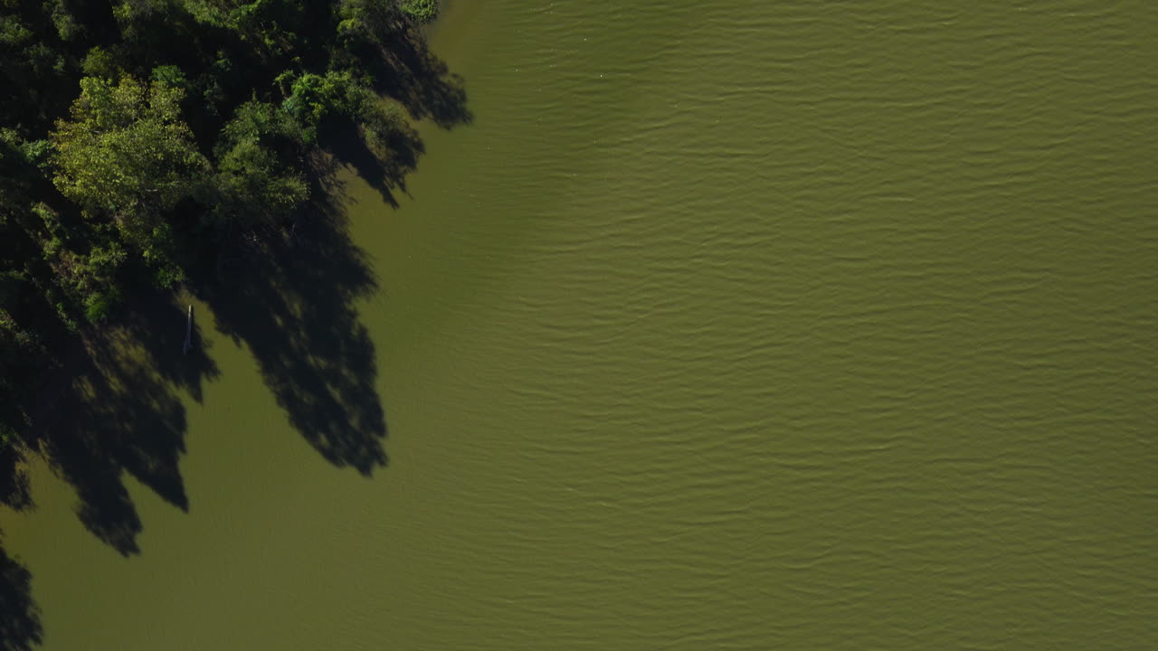 Vista aerea dall'alto della linea degli alberi e dell'acqua verde del fiume in Arkansas, con motivi di onde e increspature creati dal vento
