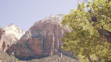 Car-driving-through-Zion-National-park-in-Utah,-USA