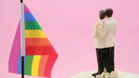 gay groom cake toppers in front of rainbow flag revolving