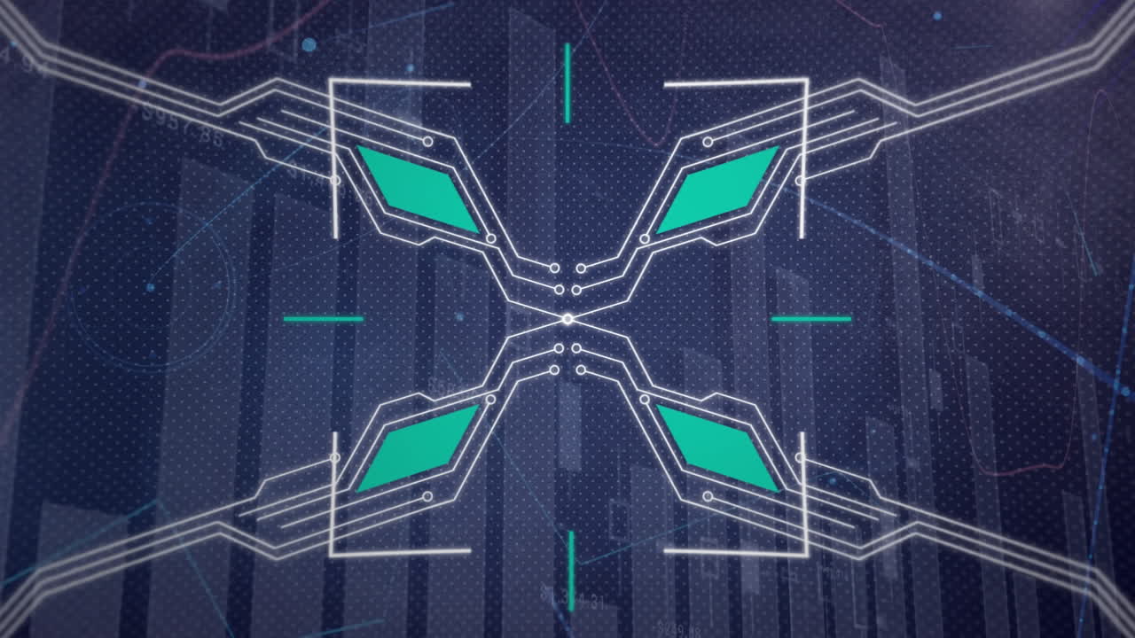 Animation of network of connections over data processing