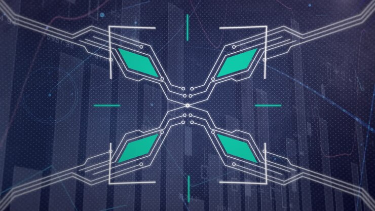 Animation of network of connections over data processing
