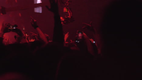crowd of excited dancing fans at the concert