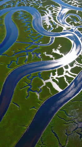aerial view of winding marsh channels