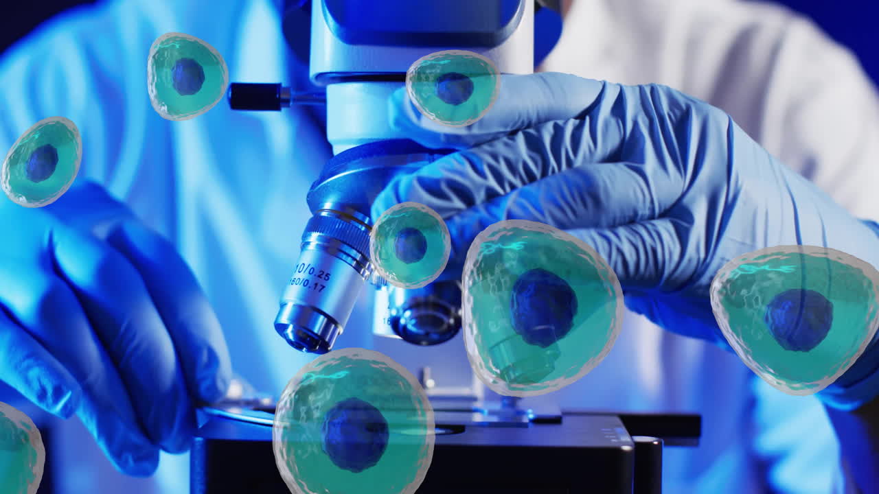 animación de glóbulos blancos sobre científico usando microscopio de laboratorio en fondo azul
