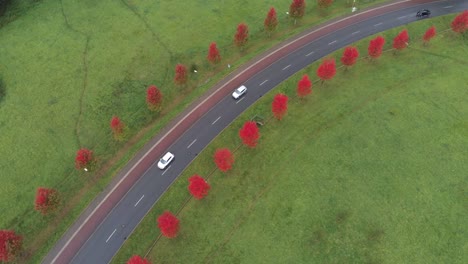 Coches-Conduciendo-A-Lo-Largo-De-Una-Impresionante-Carretera-Roja-Bordeada-De-árboles-De-Otoño,-Tiro-Panorámico-Aéreo