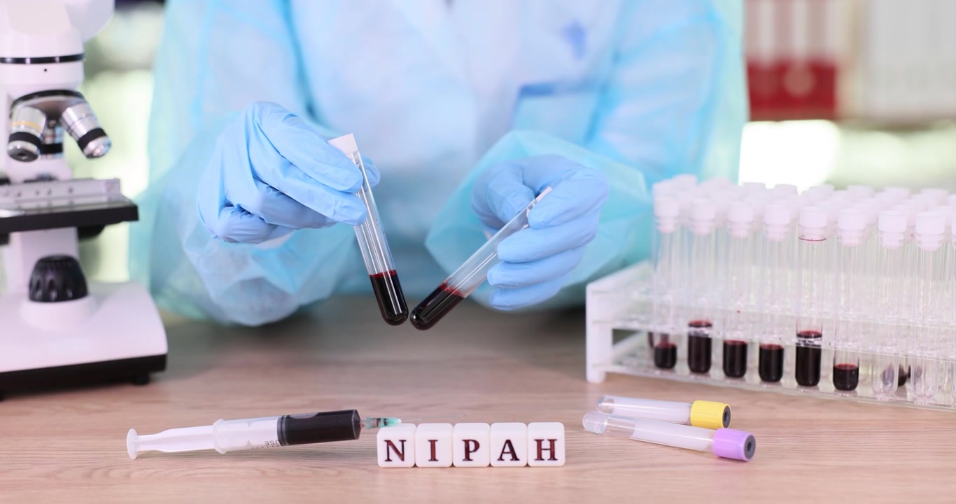 Lab technician studies blood samples for signs of nipah virus