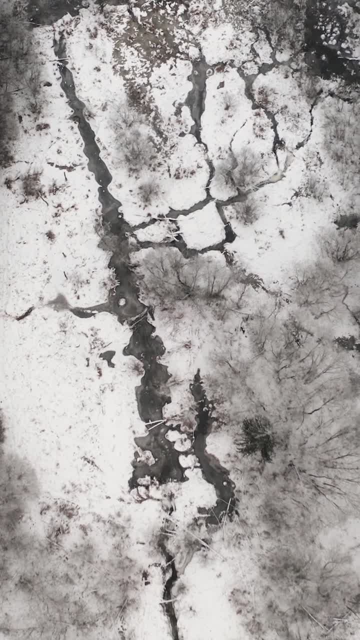 Flying above a small creek in winter between forest. Vertical aerial view of a partially frozen forest landscape with creek flowing through the icy terrain covered in snow.