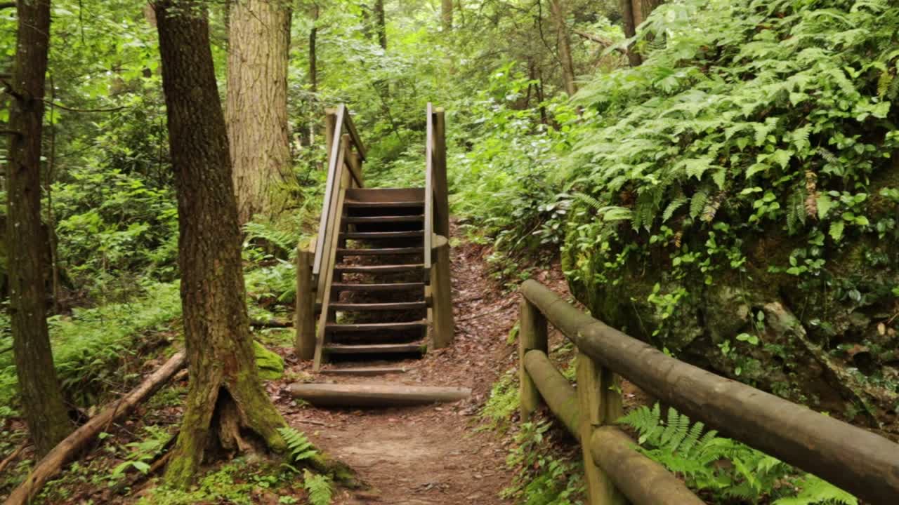 Nature Hike at Natural Bridge State Park, Kentucky