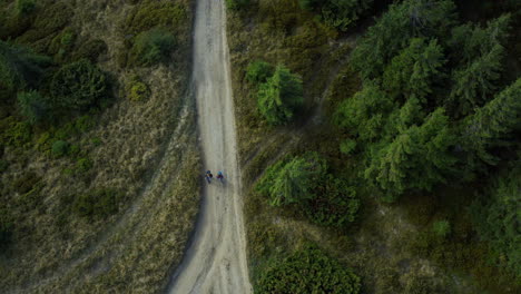 Drone-people-forest-trekking-among-green-spruce-trees-exploring-nature-land