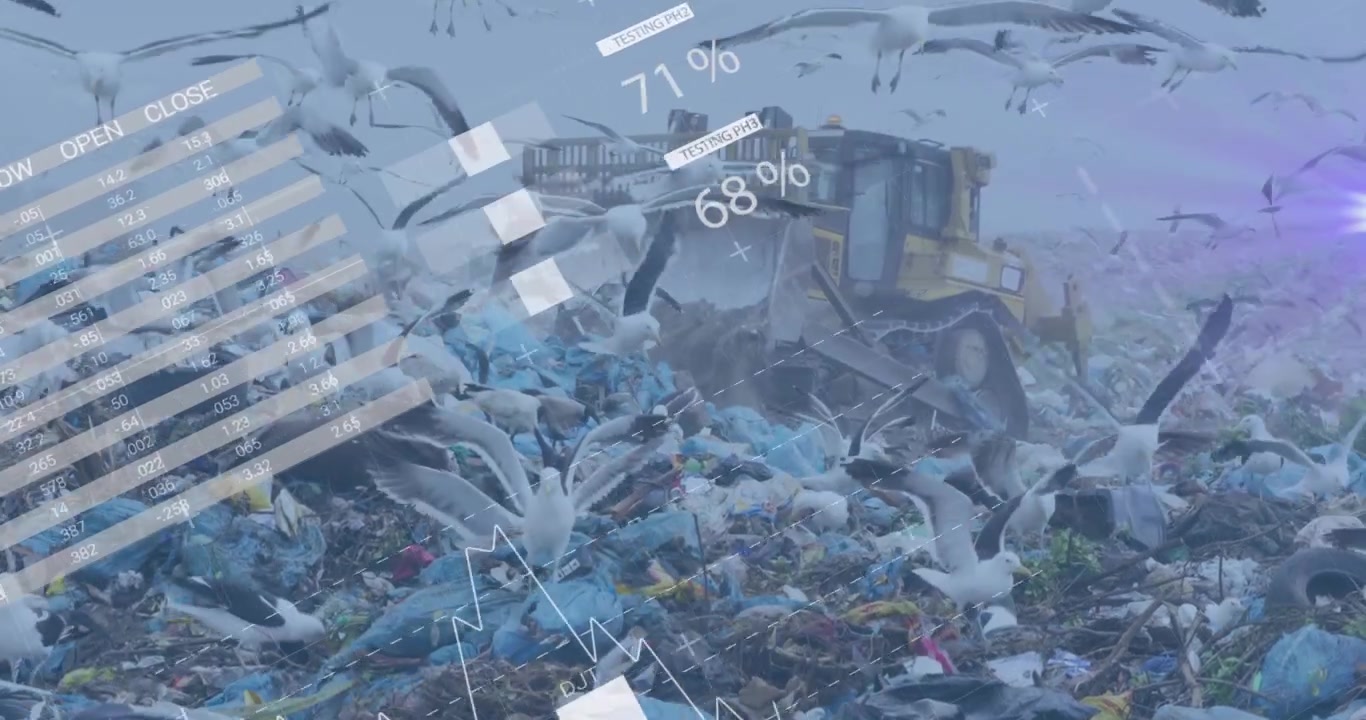 Dati ambientali sovrapposti su una discarica con bulldozer e gabbiani