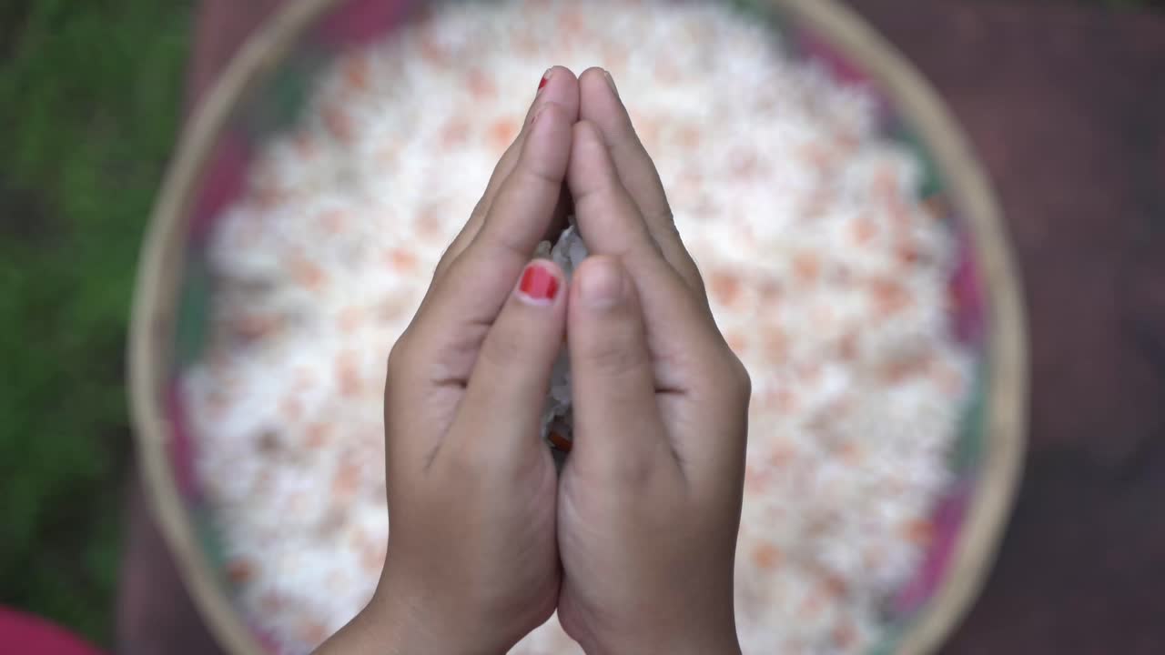 el jazmín nocturno, la flor seuli o shefali es la flor símbolo del festival saradiya o durga puja en la temporada de otoño