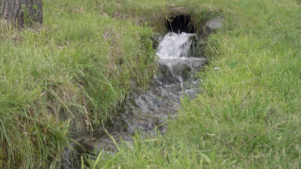 parte de un pequeño canal de riego donde el agua aparece desde el subsuelo