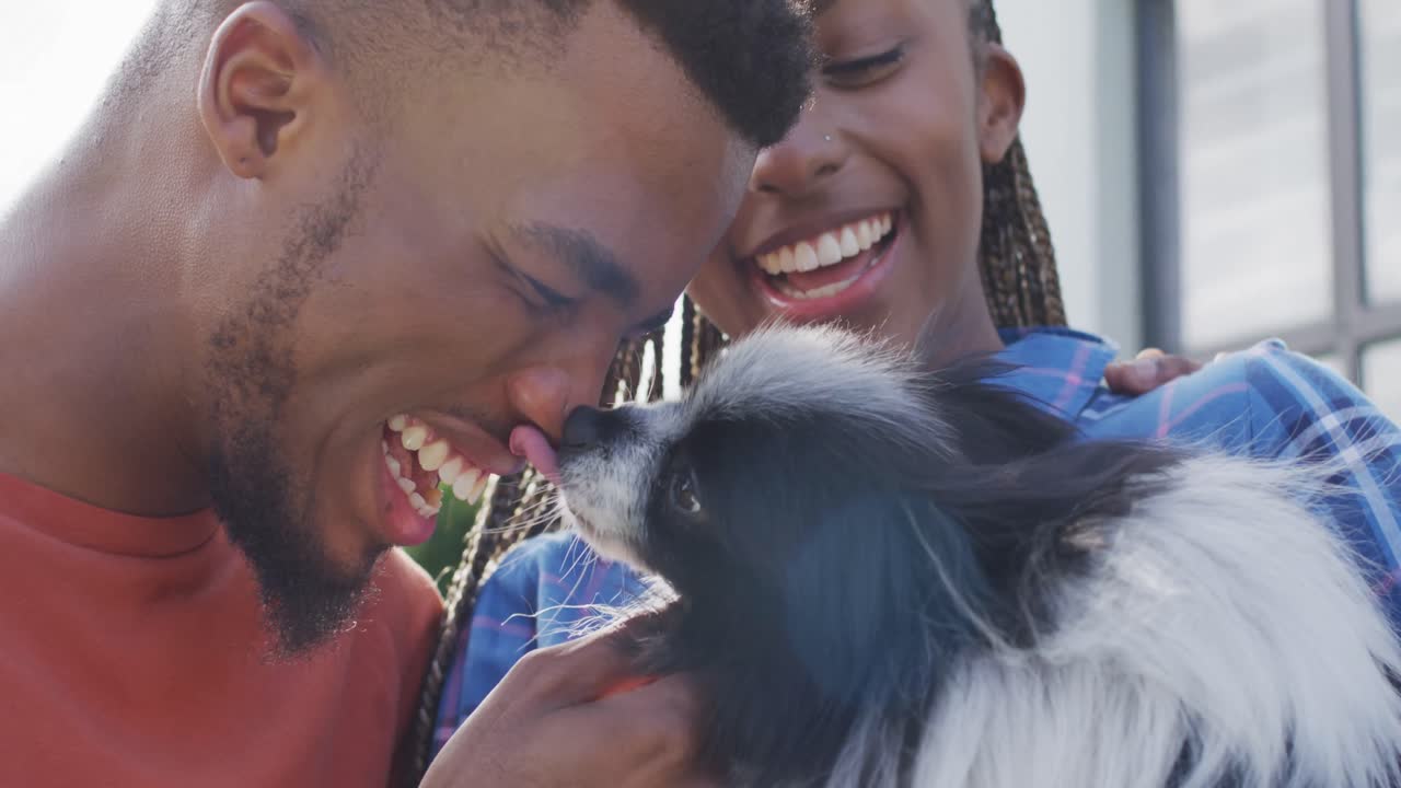 una feliz pareja afroamericana acariciando a un perro en el patio trasero