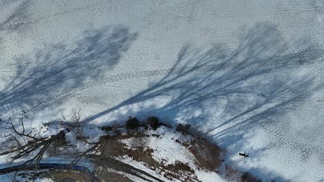 top view of snow in the jungle in winter, shadows trees