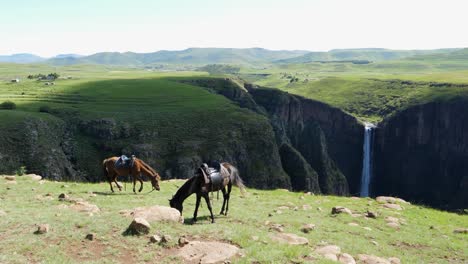 saddled horses graze grass at maletsunyane falls, lesotho waterfall