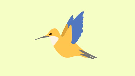 animación de un pájaro tropical volando sobre un fondo amarillo