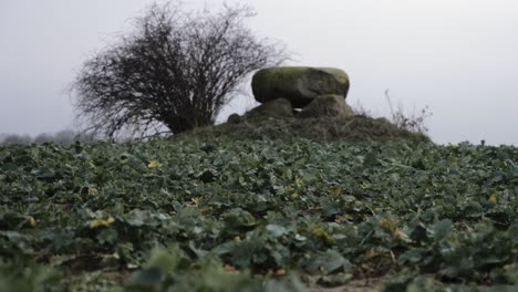 histórico sitio megalítico de piedra de dolmen en brandeburgo, alemania, foco de rack