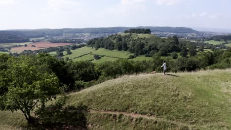 aerial: woman walking dog through cotswolds rolling hills on summer day