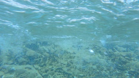 lake water in emerald color rich in oxygen from rising air bubbles streaming through rocks, underwater shot