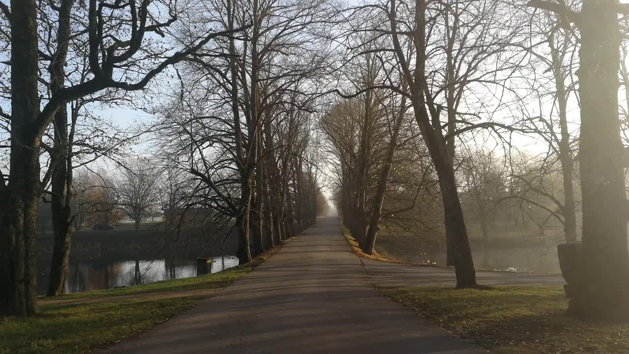 양쪽의 나무 골목과 연못