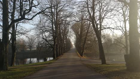 Tree-alley-and-ponds-on-each-side