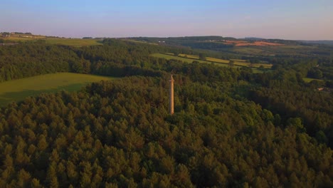 column to liberty, gibside national trust, gateshead