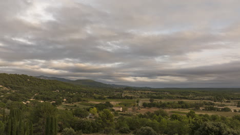 Cypress-trees-hyperlapse-drone-shot