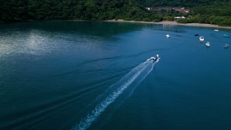 following a motor boat from the sky while the motor boat is moving towards the shore where there are buildings, more boats, and trees in a deep blue peaceful ocean