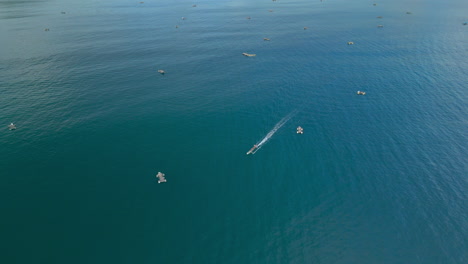 Barcos-Tranquilos-Pasan-Por-La-Bahía-Azul-Y-Clara,-Vista-Aérea-De-Barcos-De-Pesca-Esparcidos-Por-Una-Vasta-Extensión-De-Mar-Tranquilo-Y-Azul-Profundo