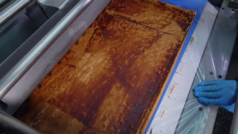 large layer of nougat sliced into little bars by the automatic machine. automated confectionery production. side view on the automatic conveyor.