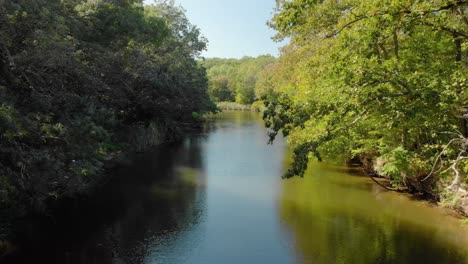 Aerial-low-shot-with-drone-fly-over-river-between-trees-in-summer-day-3