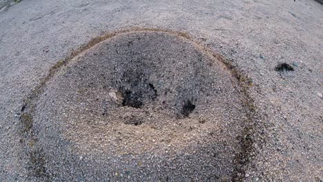 Time-lapse-of-ants-working-on-their-nest-in-a-desert-in-southern-California