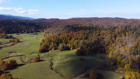 orange brown autumn forest in rural slovenia, aerial establish forward rising