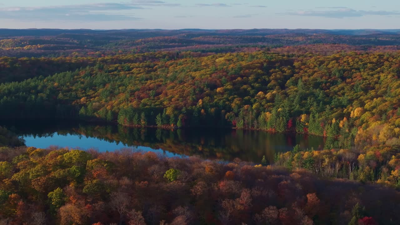 A forest with colorful autumn leaves surrounding a calm lake during sunset, aerial view