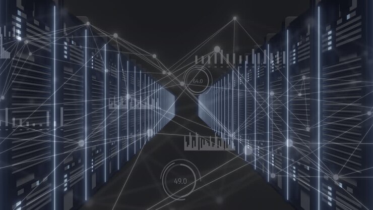 Animation of network of connections and data processing over computer servers