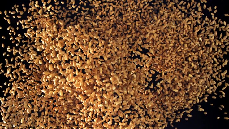 Golden Wheat Grains Falling and Accumulating on a Black Background