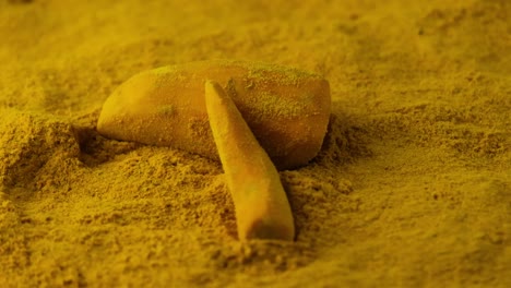 colorful golden turmeric raw root and powder, root falls on powder