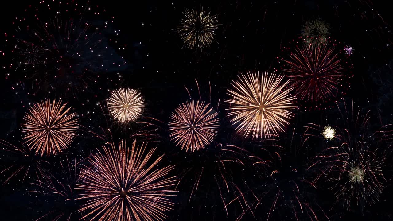 Real colorful fireworks explosion on the dark sky background fireworks festival show celebrate