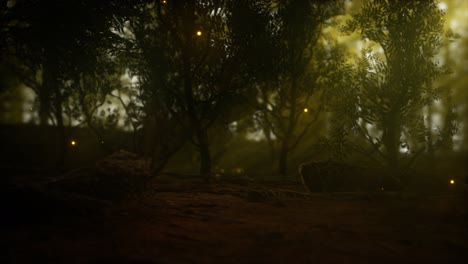 luciérnaga en el bosque brumoso con niebla