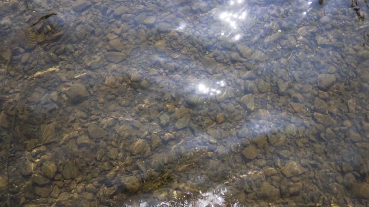 구자라트 자르와니 폭포의 자연 속에서 휴식을 취하는 청년