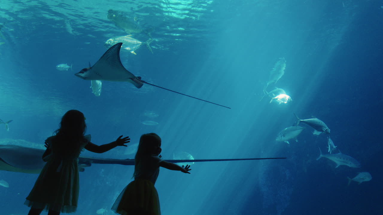 niñas pequeñas en el acuario mirando rayas nadando con peces en el tanque niños felices viendo animales marinos en el oceanario divirtiéndose aprendiendo sobre la vida marina en el hábitat acuático