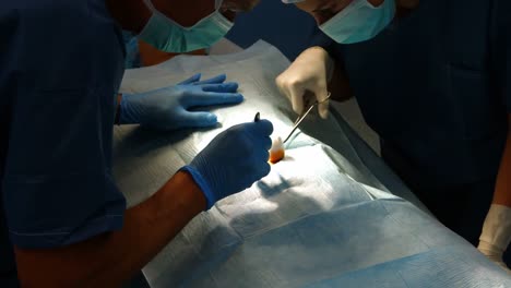 cirujanos que realizan una operación en la sala de operaciones